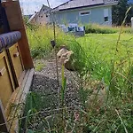 Campsite Im Igluzelt Im Privatgarten Mit Warmer Lutzmatratze Und Komfort Main-kinzig Schluechtern