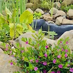 Im Igluzelt Im Privatgarten Mit Warmer Lutzmatratze Und Komfort Main-kinzig *