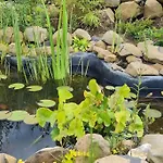 Im Igluzelt Im Privatgarten Mit Warmer Lutzmatratze Und Komfort Main-kinzig