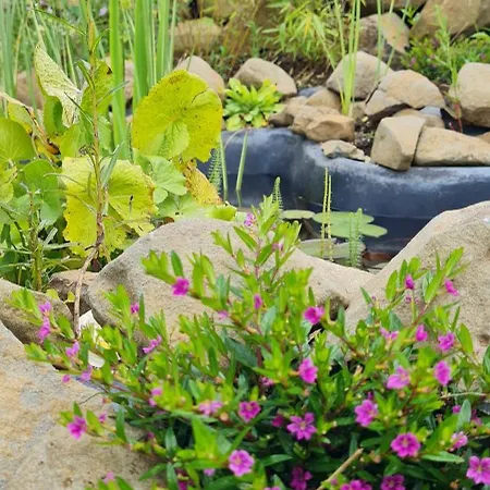 Im Igluzelt Im Privatgarten Mit Komfort Main-kinzig *