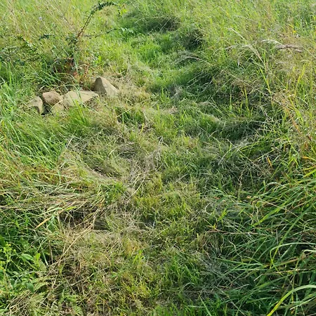 Kemping Im Igluzelt Im Privatgarten Mit Komfort Main-kinzig Schlüchtern