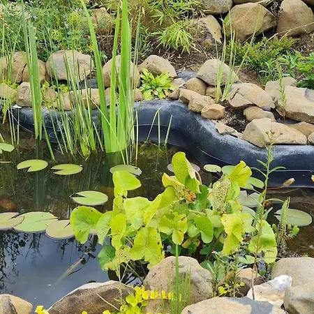 Im Igluzelt Im Privatgarten Mit Komfort Main-kinzig