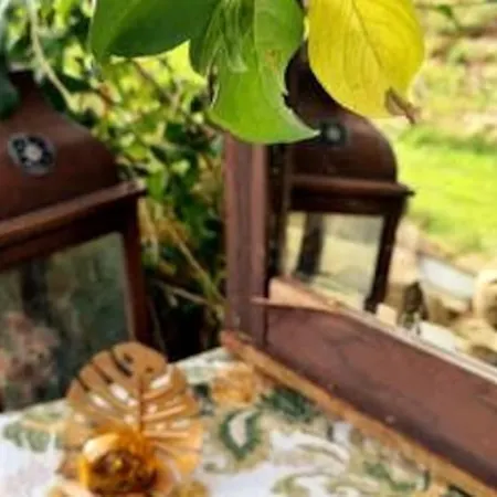 Im Igluzelt Im Privatgarten Mit Komfort Main-kinzig Kemping Schlüchtern