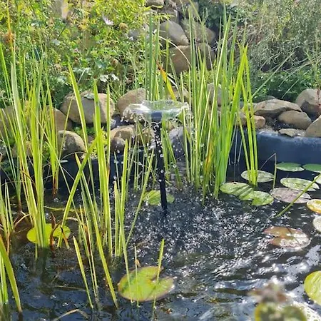 Im Igluzelt Im Privatgarten Mit Komfort Main-kinzig Kemping