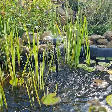 Im Igluzelt Im Privatgarten Mit Komfort Main-kinzig Campsite