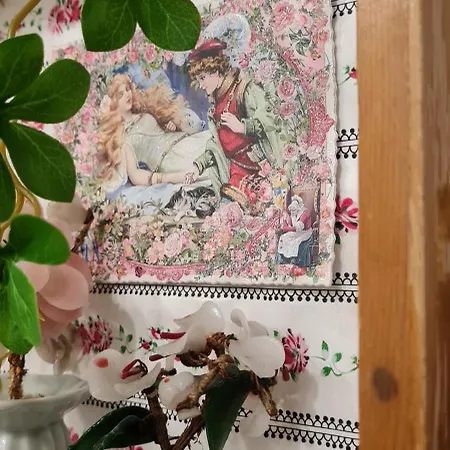 Im Igluzelt Im Privatgarten Mit Komfort Main-kinzig