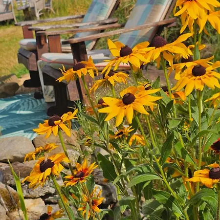 Camping Unser Igluzelt 