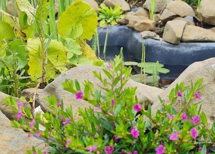 Im Igluzelt Im Privatgarten Mit Komfort Main-kinzig *