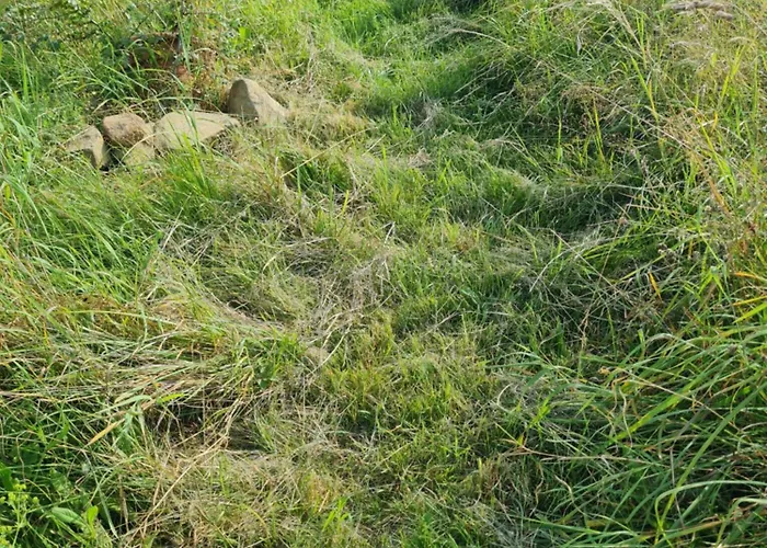 Campingplatz Im Igluzelt Im Privatgarten Mit Komfort Main-kinzig Schlüchtern