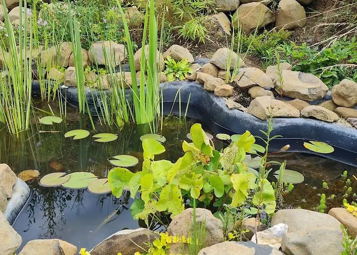 Im Igluzelt Im Privatgarten Mit Komfort Main-kinzig