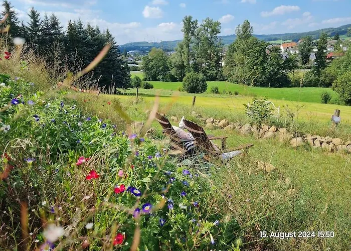 Im Igluzelt Im Privatgarten Mit Komfort Main-kinzig Campingplatz