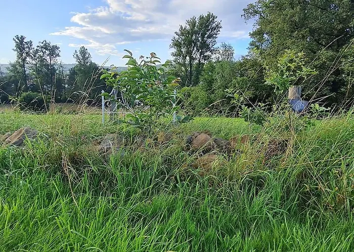 Im Igluzelt Im Privatgarten Mit Komfort Main-kinzig Schlüchtern