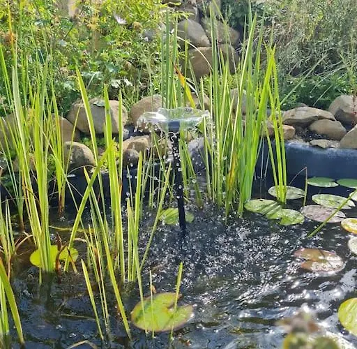 Im Igluzelt Im Privatgarten Mit Komfort Main-kinzig Campingplatz